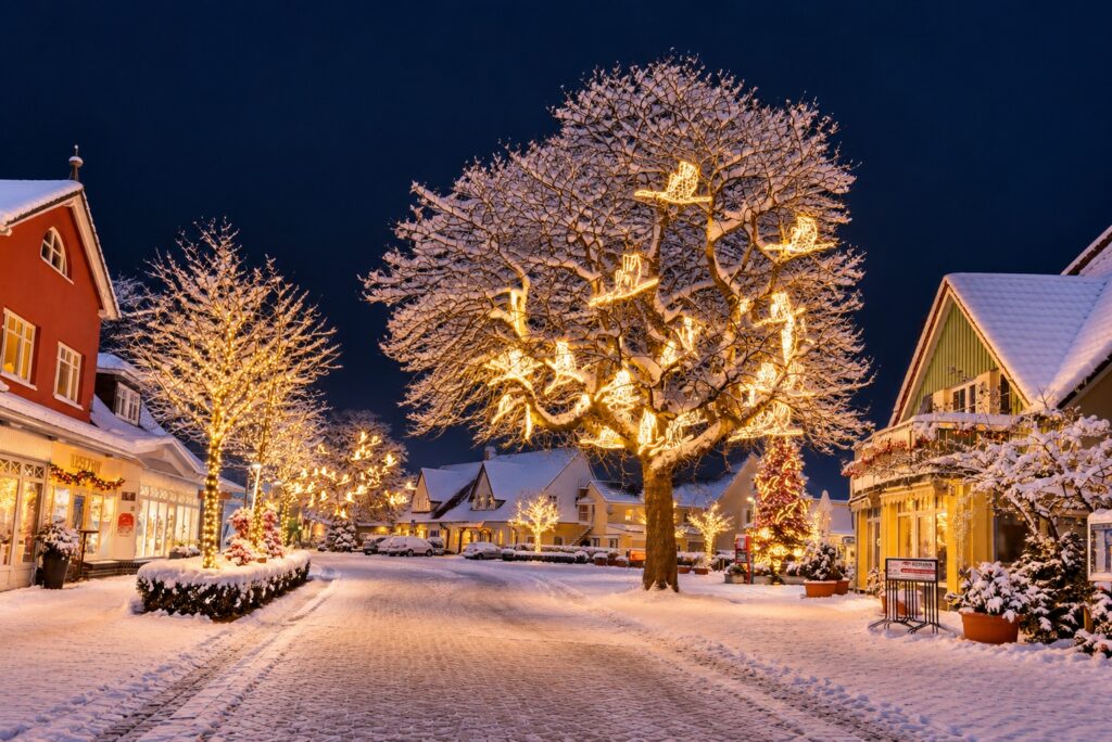 Festlich beleuchtete Bäume als Winter- und Weihnachtsbeleuchtung in Zingst an der Ostsee